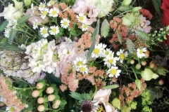 IMG-20210617-WA0015-2