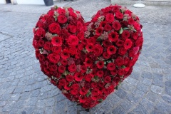 P_Rosen-rot-5